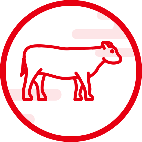 開運八社巡り 神社紹介 鳥取県観光案内 とっとり旅の生情報