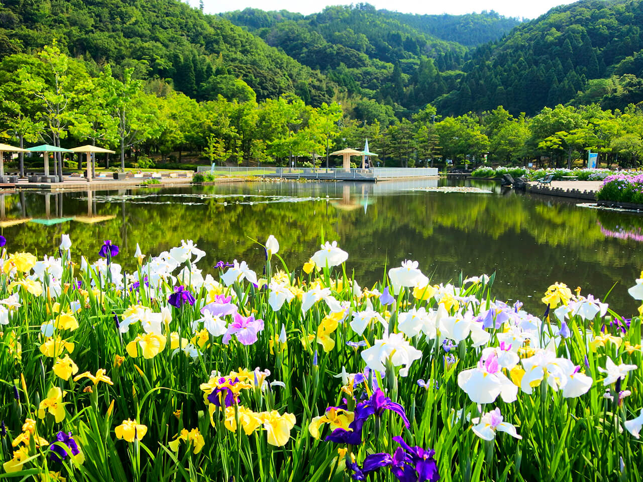 東郷湖羽合臨海公園周辺