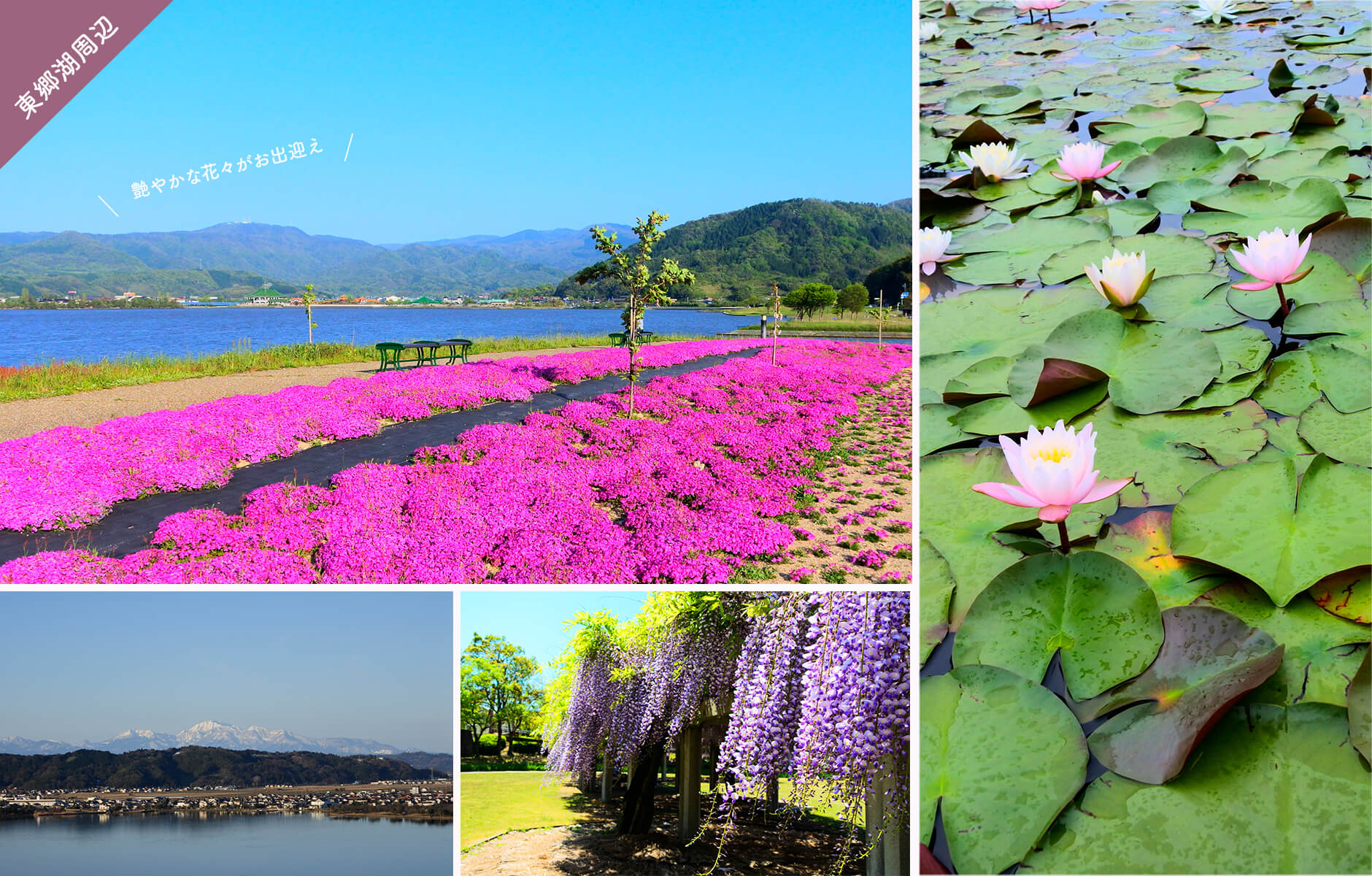 東郷湖羽合臨海公園・出雲山展望台