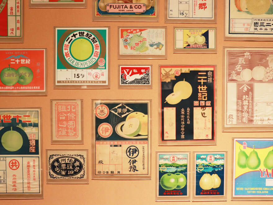 日本で唯一!梨をテーマにした博物館 なしっこ館 −鳥取二十世紀梨記念館−