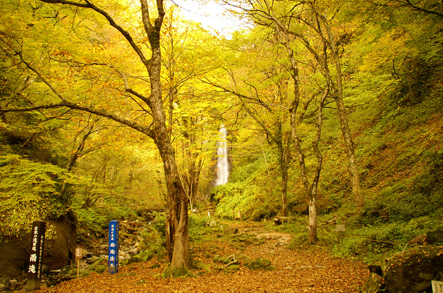 秋の定番 紅葉 鳥取県観光案内 とっとり旅の生情報 秋の定番 紅葉 鳥取県観光案内 とっとり旅の生情報