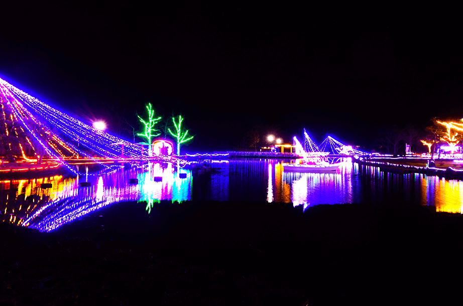 あやめ池ウィンターイルミネーション 鳥取県