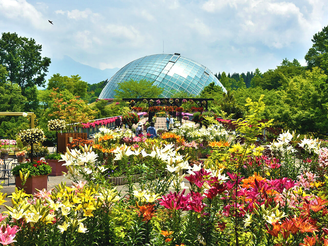 とっとり花回廊