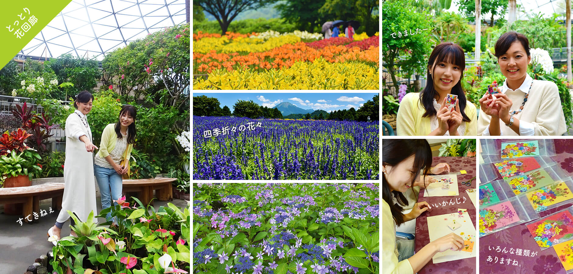 とっとり花回廊