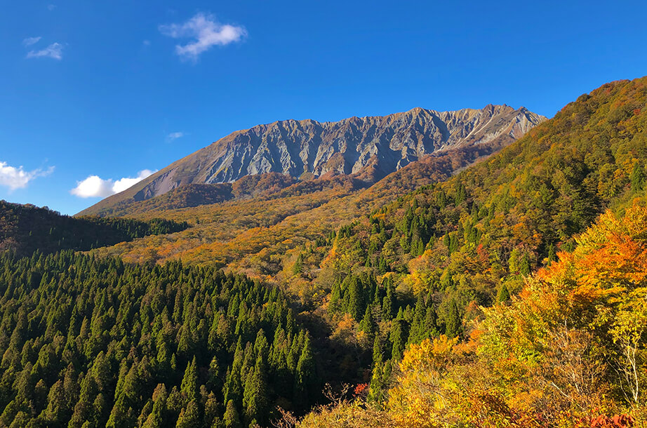 秋の定番 紅葉 鳥取県観光案内 とっとり旅の生情報 秋の定番 紅葉 鳥取県観光案内 とっとり旅の生情報