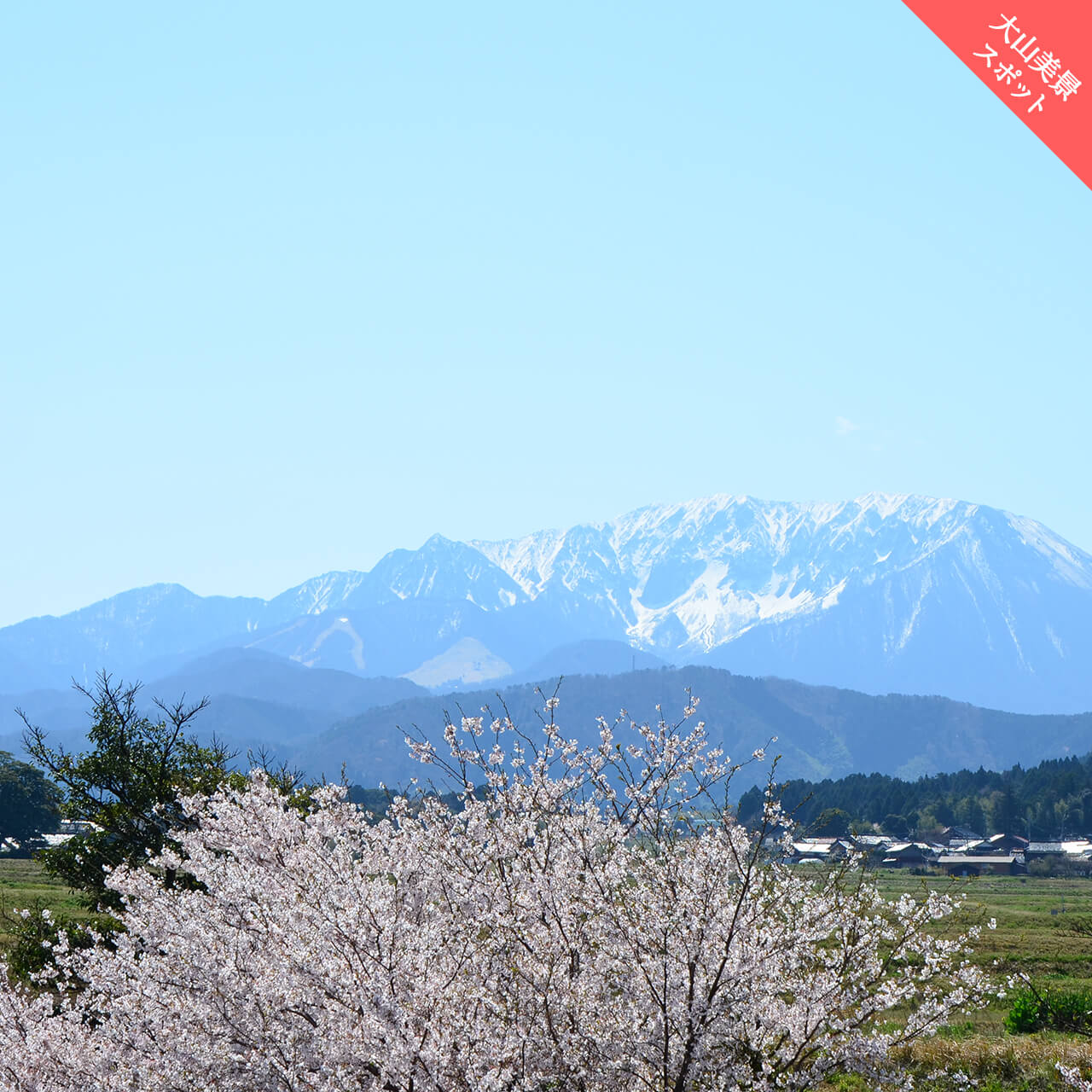 大山美景スポット