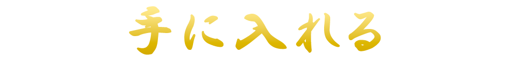 手に入れる
