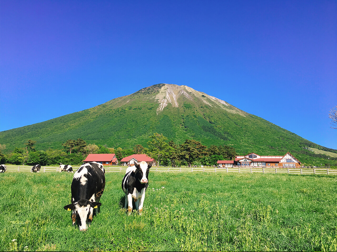 丑×牛 〜とっとりモーレツ旅〜 鳥取県観光案内 とっとり旅の生情報