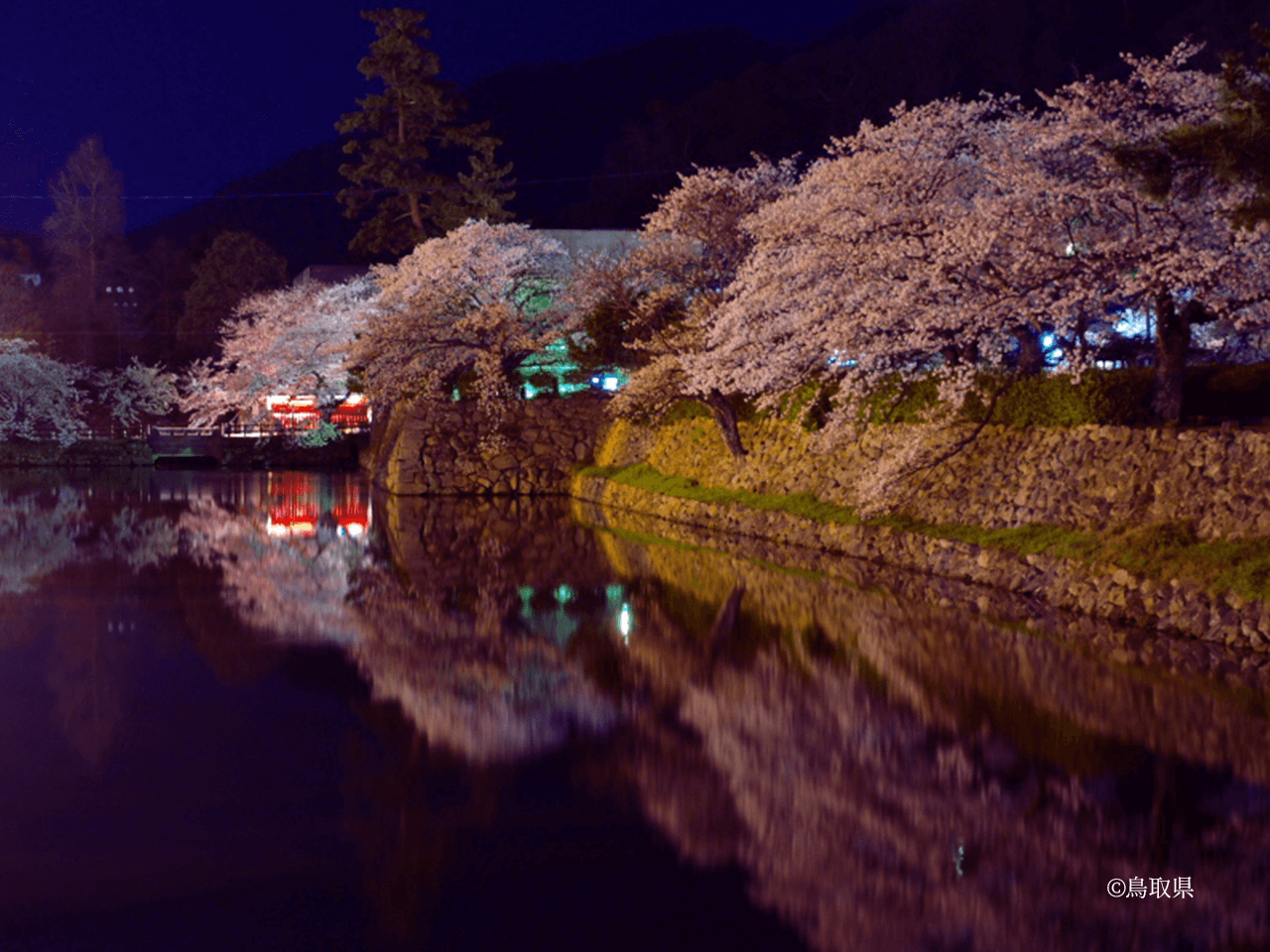 とっとり春さんぽ お花見情報 鳥取県観光案内 とっとり旅の生情報 とっとり春さんぽ お花見情報 鳥取県観光案内 とっとり旅の生情報