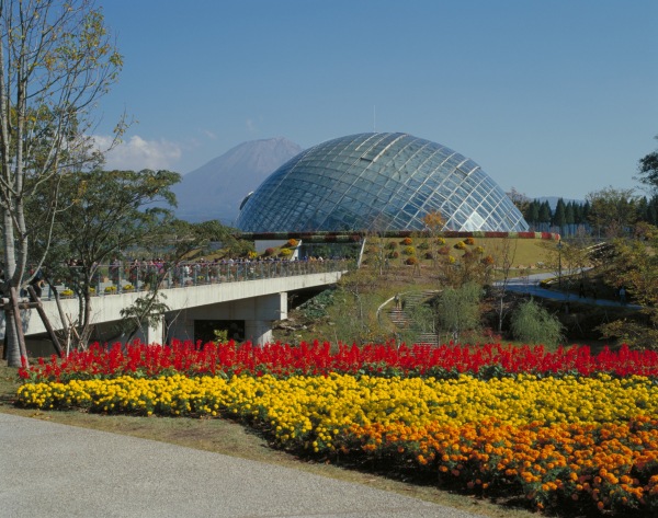 花回廊　全景