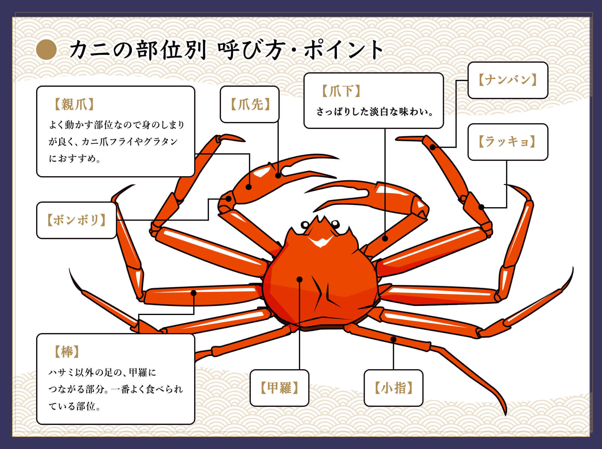 かにの部位別 呼び方・ポイント