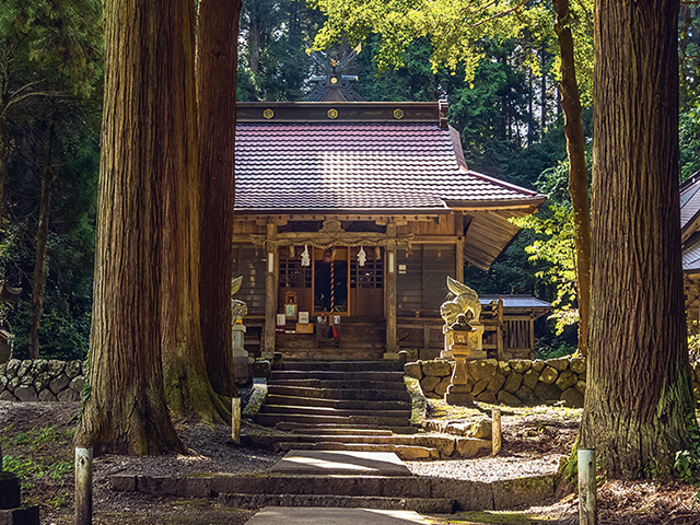 樂樂福神社