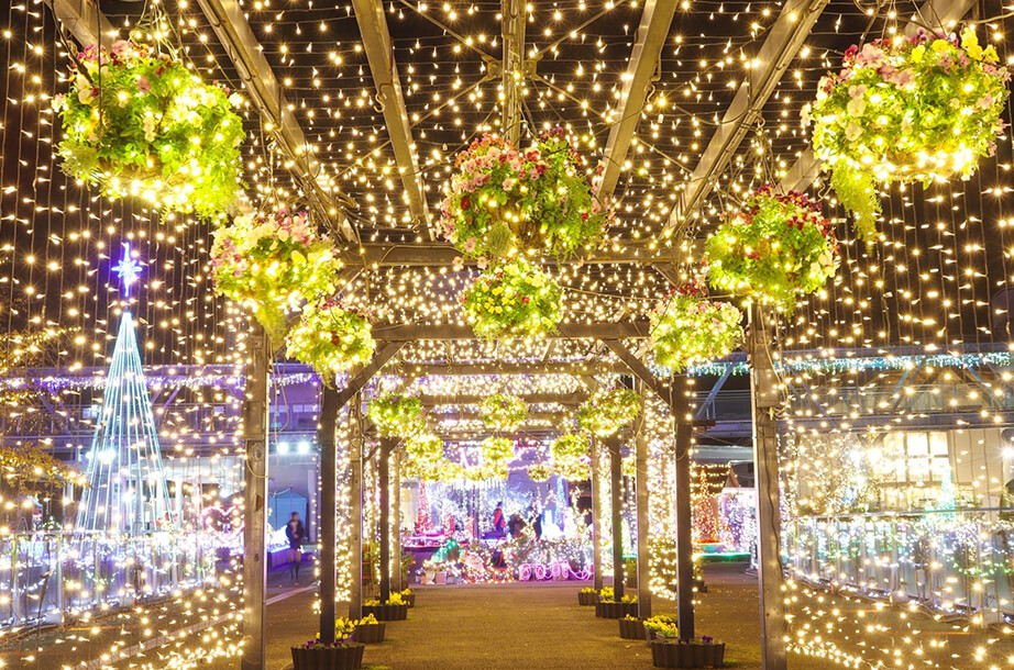 フラワーイルミネーション in とっとり花回廊｢花と光の楽園｣ 鳥取県