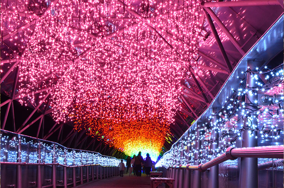 フラワーイルミネーション in とっとり花回廊「花と光の楽園」 鳥取県