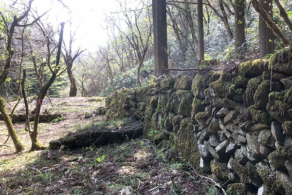 日野郡18下谷中山鉄山跡