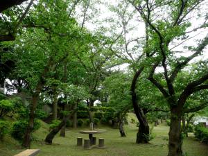 台場公園
