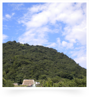 古に想いを馳せた鳥取城跡