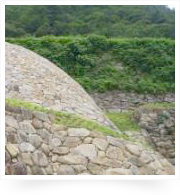 鳥取城跡の巻石垣 / 日本でここにしかない石垣