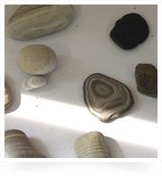 渚交流館のジオの石たち
