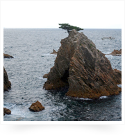 浦富海岸の「千貫松島」を、自然歩道から見下ろして。