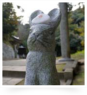 白兎神社　皮膚をきれいにしてくれる神社ということで、勝手にアンチエイジング神社と命名。