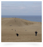 鳥取砂丘が想像以上に広大でした。人が蟻のようです。