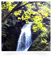 小代 久須部渓谷 要の滝
