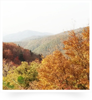 扇ノ山 峠の見晴らし広場から眺める紅葉