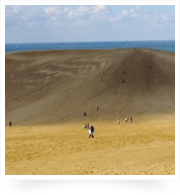 鳥取砂丘/陽射しによって出来る砂丘のコントラスト
