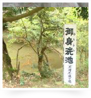 白兎神社の池