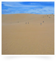 ひたすら砂地!圧巻の鳥取砂丘は一見の価値ありです。