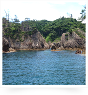 浦富海岸の岩々が作り出す入り江と美しい海が絵になります。