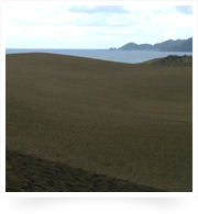 鳥取砂丘の景色。広大な景色です。