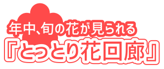 とっとり花回廊