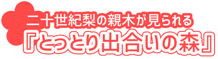 とっとり出合いの森