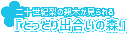 とっとり出合いの森