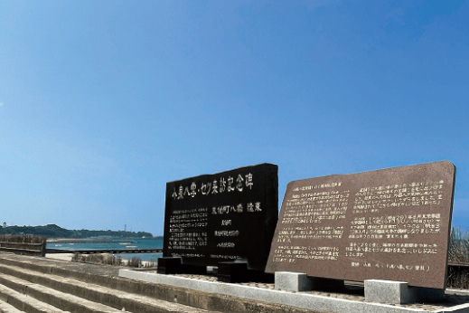 八橋海岸の写真