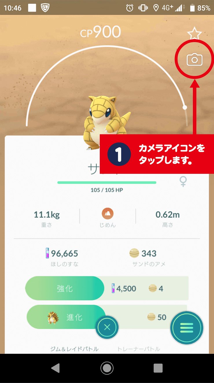 1.ポケモンのステータス画面に表示されるカメラアイコンをタップします。