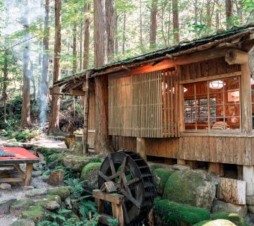 みたき園 外観 芦津渓谷へ向かう山道の途中、清流のせせらぎと深緑の中にある「みたき園」。昔ながらの暮らしを感じられる茅葺きの古民家で、山里の恵みをふんだんに使用した季節の郷土料理が楽しめます。とれたての魚や山菜など素材が新鮮なのはもちろん、豆腐やこんにゃく、味噌にいたるまで全て自家製。手作りのぬくもりに、心があたたかくなるような味わいです。食事のあとは、木漏れ日がやさしく揺れる森の中を自由に散策してみませんか。鳥取県八頭郡智頭町芦津