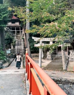 不動院岩屋堂 鳥取県八頭郡若桜町岩屋堂 建物全体が天然の岩洞にすっぽり収まった「不動院岩屋堂」は、約600年前に建立されたといれる舞台造りの密教建築物。「窟堂」ともいわれ、国の重要文化財に指定されています。日本三大投入堂のひとつで、パワースポットとしても有名。日本三大不動明王のひとつでもあり、毎年3月と7月の護摩法要の際に一般公開されます。