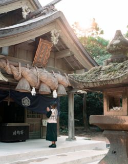 白兎神社 外観 出雲の大国主命と因幡の八上姫との縁を結んだ「因幡の白うさぎ」が祀られています。日本最古のラブストーリーの発祥地として「恋人の聖地」に認定され、人気の縁結びスポットに。社務所で授かることのできる「結び石」(有料)が有名で、その石に願いを込めて鳥居や境内に並ぶ白うさぎの石像にのせると願い事が叶うと言われています。鳥取県鳥取市白兎