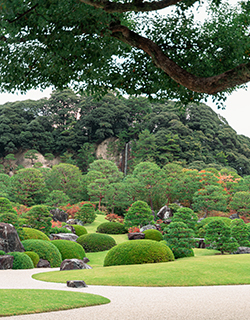 足立美術館 日本画の巨匠・横山大観をはじめとする日本屈指の画家たちの名画や、北大路魯山人の陶芸や書画など数々の名品とともに、約5万坪の日本庭園を堪能できる美術館です。周囲の自然の山々を借景とした多様な庭園が季節ごとに美しい姿を見せてくれます。米国の日本庭園専門誌のランキングでは、2003年から連続「庭園日本一」に。