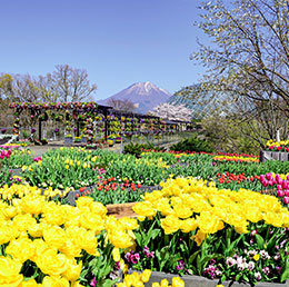 とっとり花回廊