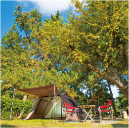 日吉津村海浜運動公園 キャンプ場