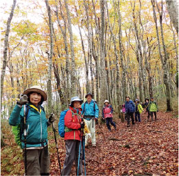 氷ノ山自然ふれあい館響の森
