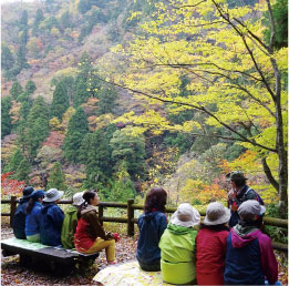 森林セラピーR【智頭町】