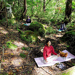 森林セラピーR【智頭町】