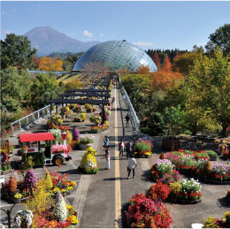 とっとり花回廊