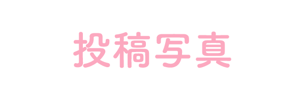 インスタグラムフォト投稿キャンペーン とっとり秋旅 冬旅パスポートトリパス連動企画