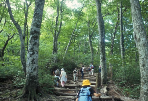 大山登山